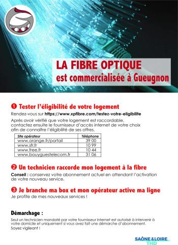 Fibre optique Gueugnon